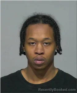 Mugshot of Jahree Wilkes
