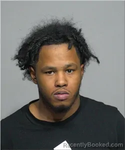 Mugshot of Lamonte Fisher