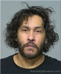 Mugshot of Courtney Hogans