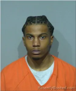 Mugshot of Zen Tray Price