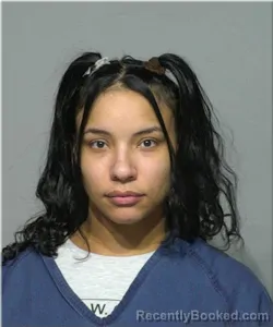 Mugshot of Nicole Holder