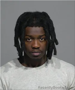 Mugshot of Jacob Flowers