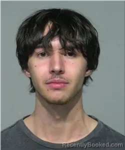 Mugshot of Dylan Tezak
