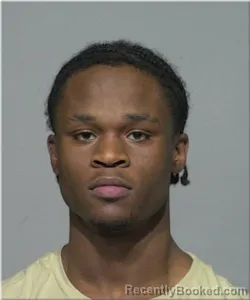 Mugshot of Jervelle Bogan