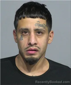 Mugshot of Nestor Ortega