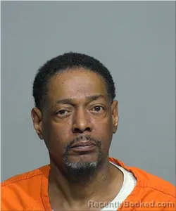 Mugshot of Tracey Anderson