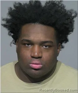 Mugshot of Afrisawn Dedrick