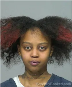Mugshot of Gissel Scott