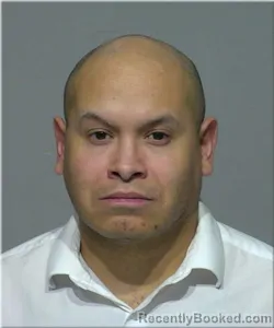 Mugshot of Taylor Layton