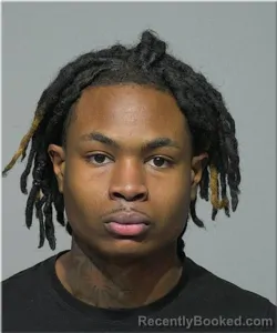 Mugshot of Nicholas Fields