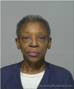 Mugshot of Debra Ashford