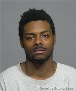 Mugshot of Tyree Steward