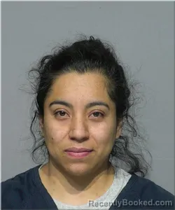 Mugshot of Genisis Acevedo-Carrasco