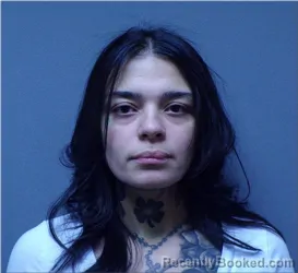 Mugshot of Erika Pizarro