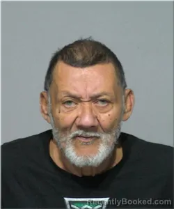 Mugshot of Andres Santana-Paneto