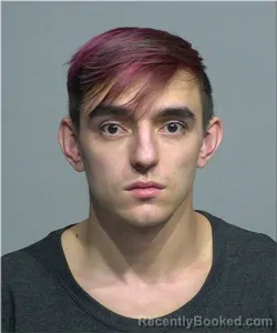 Mugshot of Dominick Reimesch