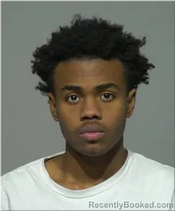 Mugshot of Damare Johnson