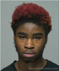 Mugshot of Samanuelle Reed