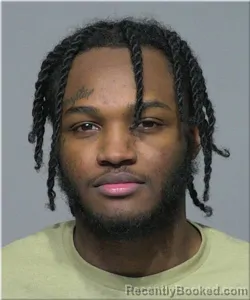 Mugshot of Jaymoses Woods