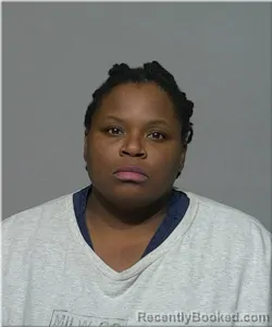 Mugshot of Ashley Manuel