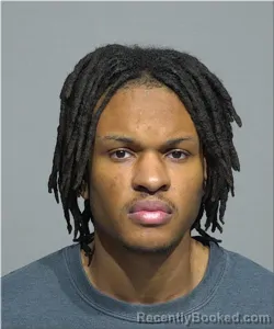 Mugshot of Matthew McGee