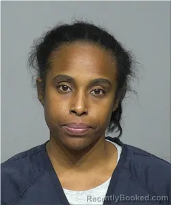 Mugshot of Anita Meneese