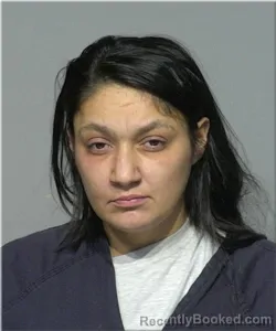 Mugshot of Nicole Serdynski