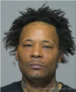 Mugshot of Brian Williams