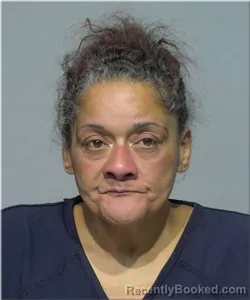 Mugshot of Raquel Ortiz