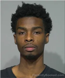 Mugshot of Arnelle Roberts