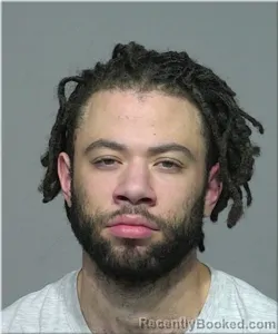 Mugshot of Terrell Williams