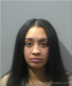 Mugshot of Meadow Mchenry