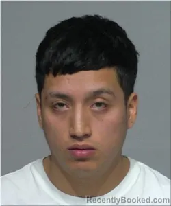 Mugshot of Emerson Tecocha Andia