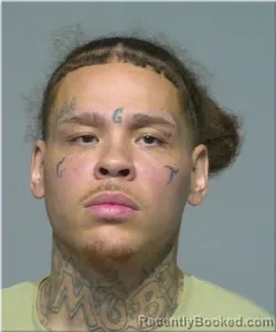 Mugshot of Matthew Long