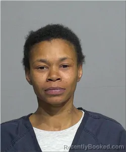 Mugshot of Sherie Pointer
