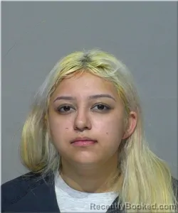 Mugshot of SUSANA SANTILLAN PADILLA booked in Milwaukee County, Wisconsin on March 13, 2026