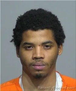 Mugshot of Derrieon Whitelaw