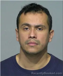 Mugshot of Adrian Villarreal Lobo