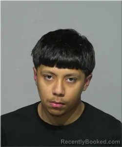 Mugshot of Jaime Tinoco booked in Milwaukee County, Wisconsin on March 22, 2026