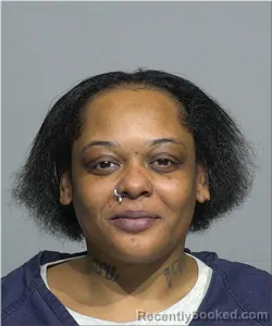 Mugshot of Ashley Lewis booked in Milwaukee County, Wisconsin on April 8, 2026