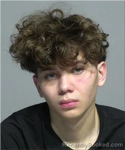 Mugshot of Jeyluiz Bonilla-Vargas booked in Milwaukee County, Wisconsin on April 8, 2026