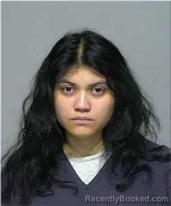 Mugshot of Nor Abdul Sultan booked in Milwaukee County, Wisconsin on June 1, 2026