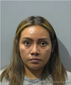 Mugshot of Nancy Castro Gonzalez booked in Milwaukee County, Wisconsin on June 1, 2026