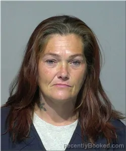 Mugshot of Elizabeth Fowler booked in Milwaukee County, Wisconsin on June 26, 2026