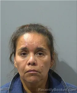 Mugshot of Viviana Guzman-llancaleo booked in Milwaukee County, Wisconsin on June 26, 2026