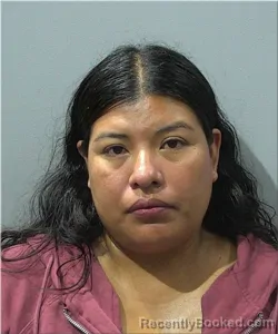 Mugshot of Gudelia Martinez-Jimenez booked in Milwaukee County, Wisconsin on June 29, 2026