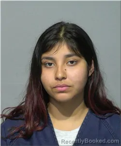 Mugshot of Aurora Sandoval booked in Milwaukee County, Wisconsin on June 30, 2026
