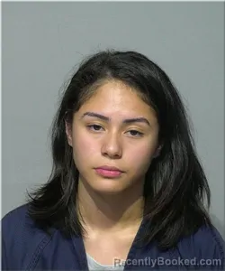 Mugshot of Brianna Figueroa booked in Milwaukee County, Wisconsin on July 1, 2026