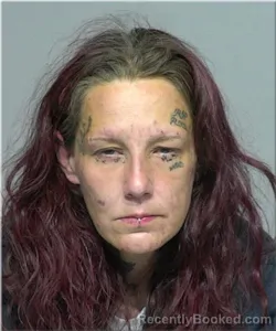 Mugshot of Jamie Parise booked in Milwaukee County, Wisconsin on July 26, 2026