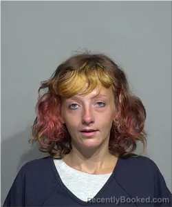 Mugshot of Mary Ferris booked in Milwaukee County, Wisconsin on August 1, 2026